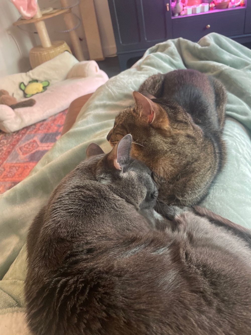 Meet your Posher, Kay